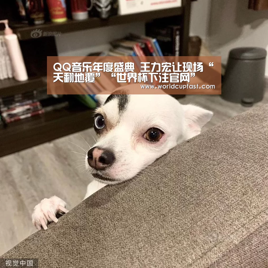 世界杯下注官网