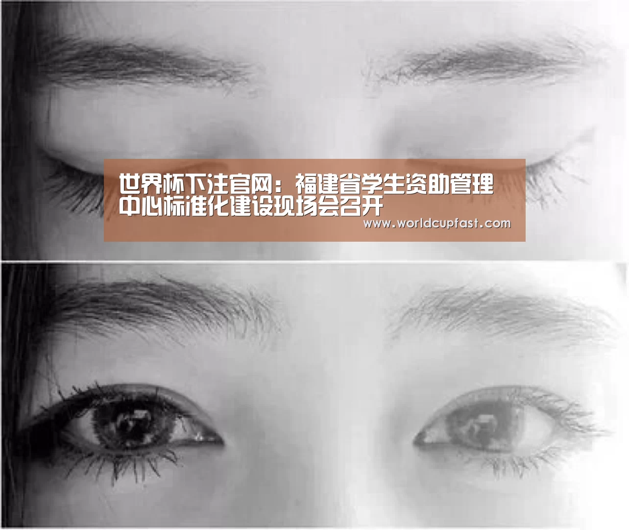 世界杯买球