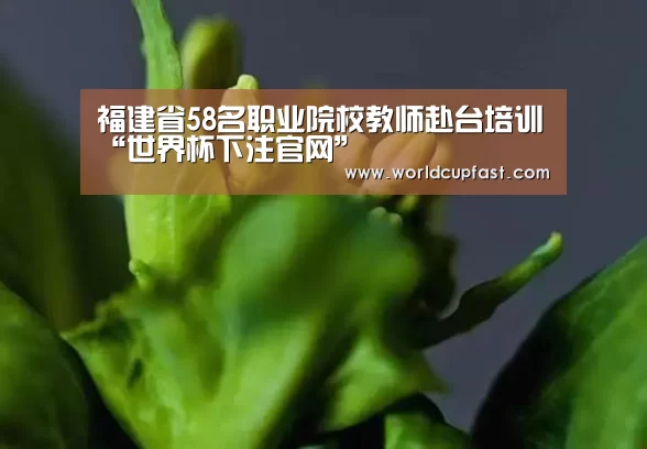 世界杯下注官网