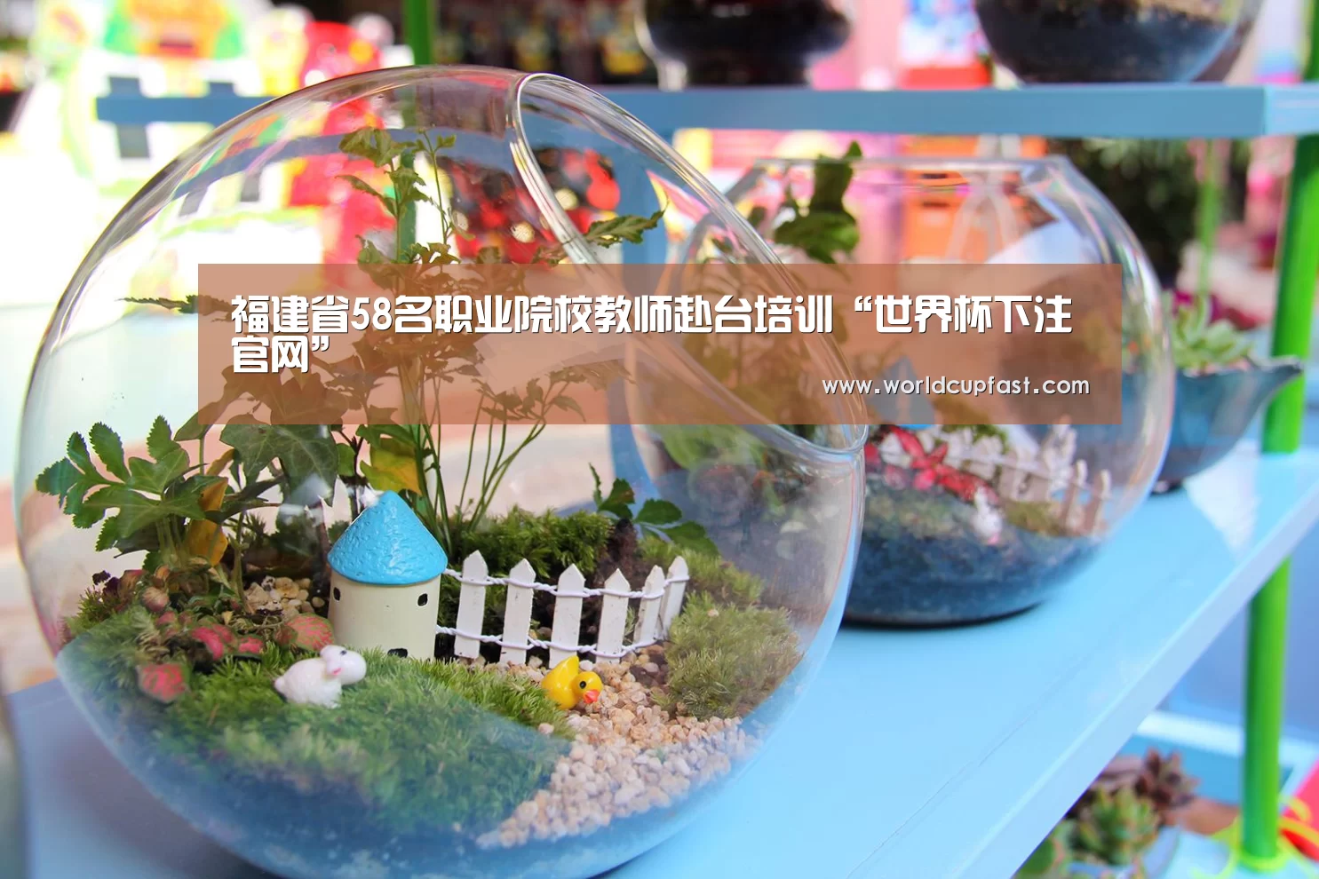 世界杯下注网站官网