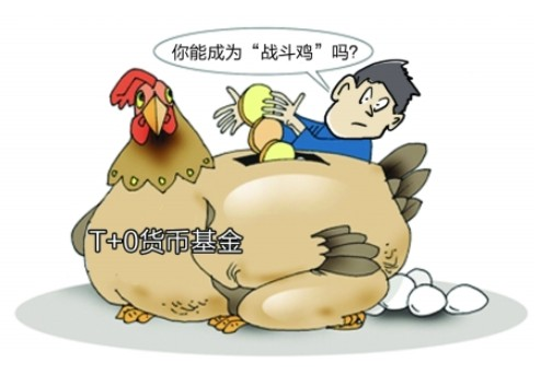 世界杯下注官网